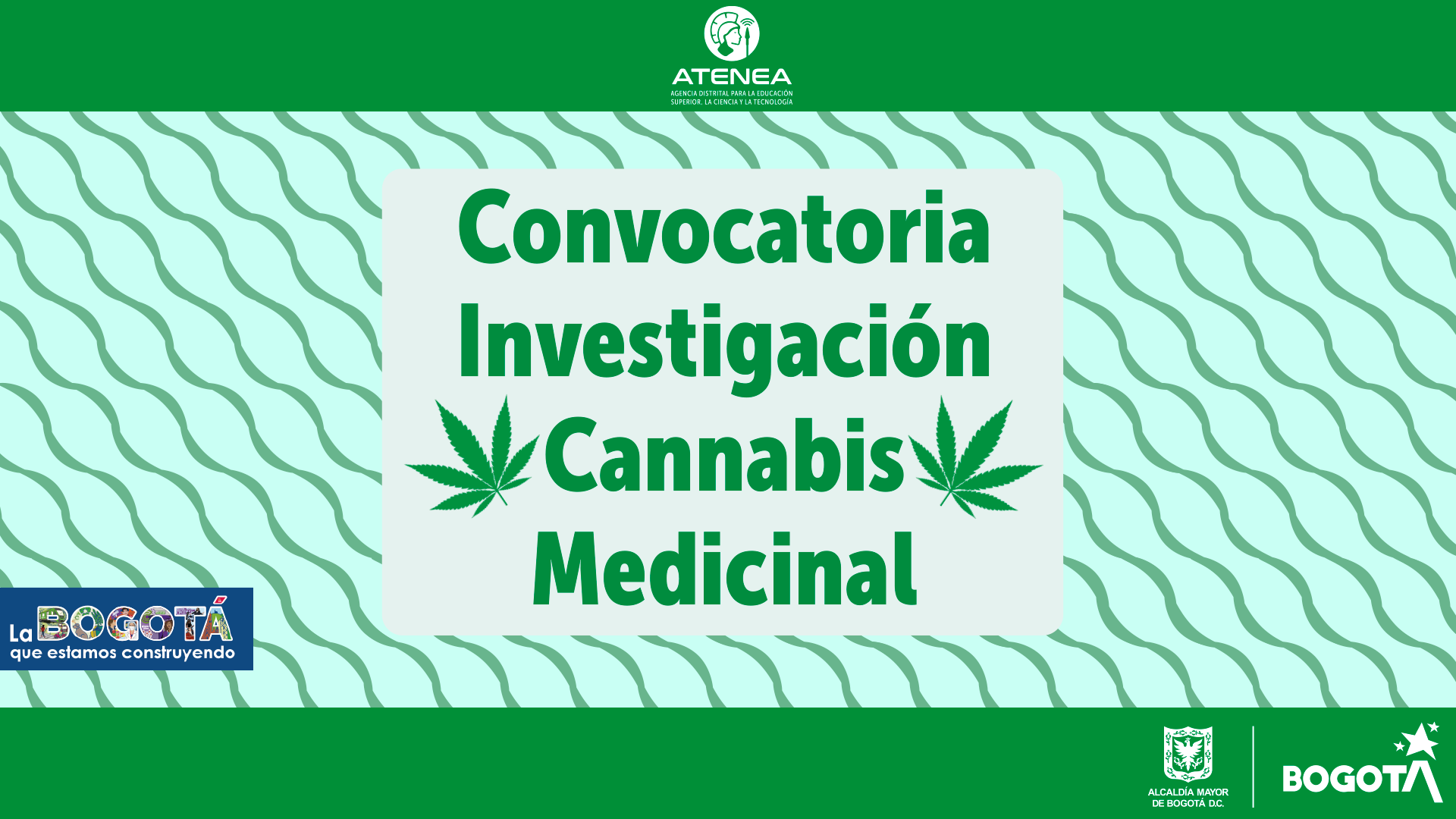 Portada de convocatoria investigación en cannabis medicinal