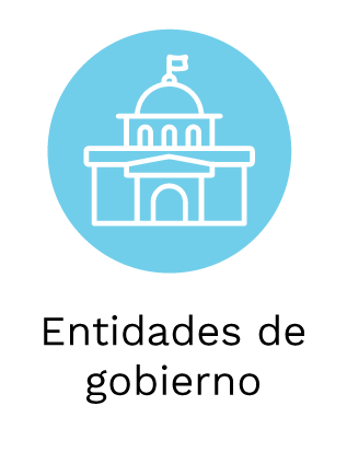Entidades de gobierno