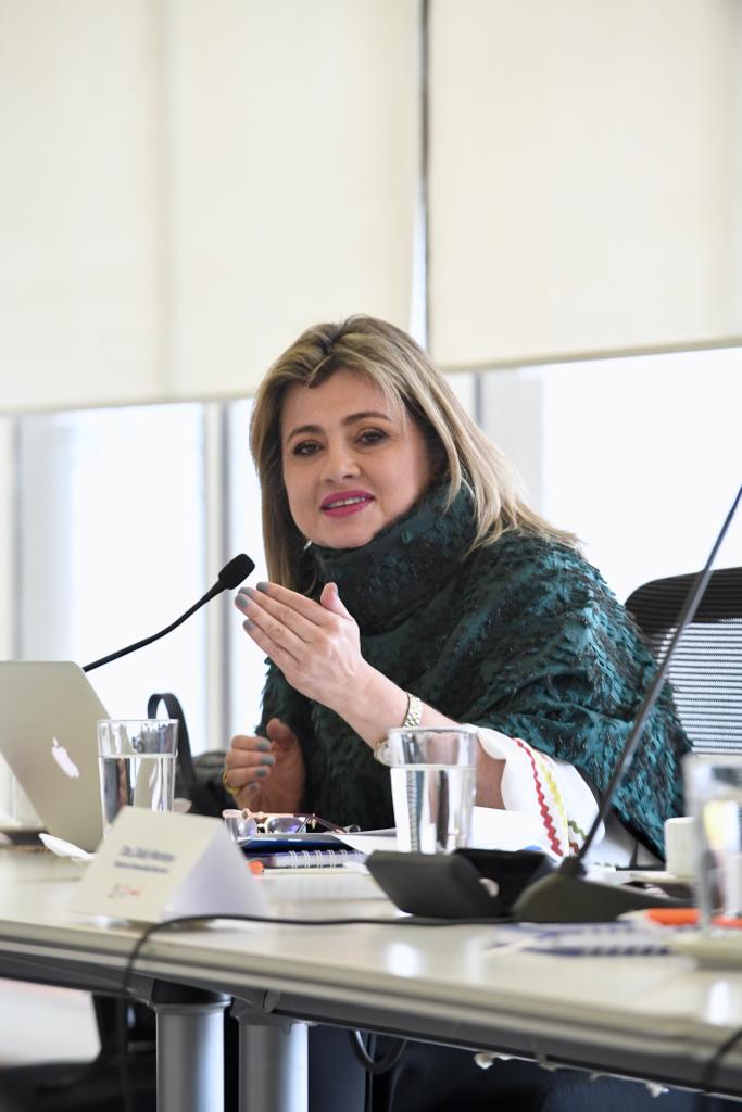 La Agencia ATENEA realizó la VIII Sesión del Consejo Directivo