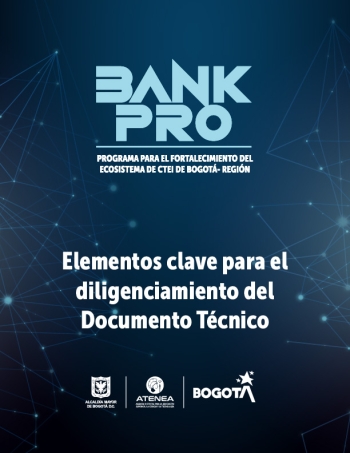Elementos Clave para el Diligenciamiento del Documento Técnico