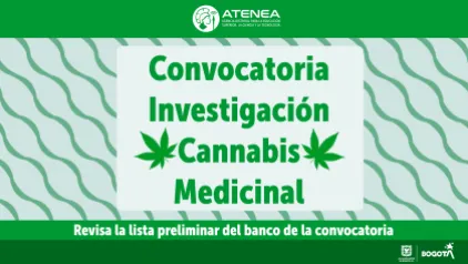 Banco preliminar convocatoria Cannabis